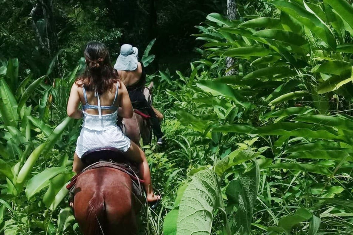 horseback riding boca chica