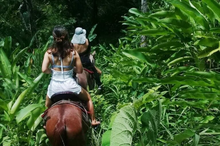 Horseback Riding in Panama’s Jungle and Beaches