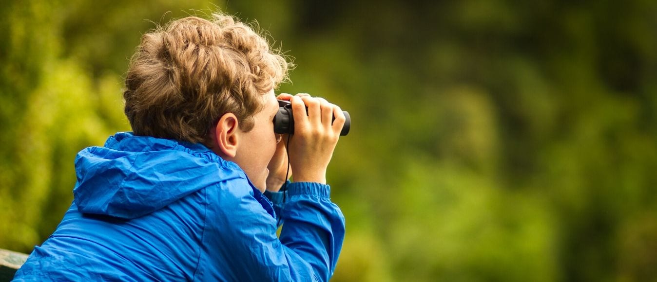 A Basic Bird-Watching Equipment Checklist