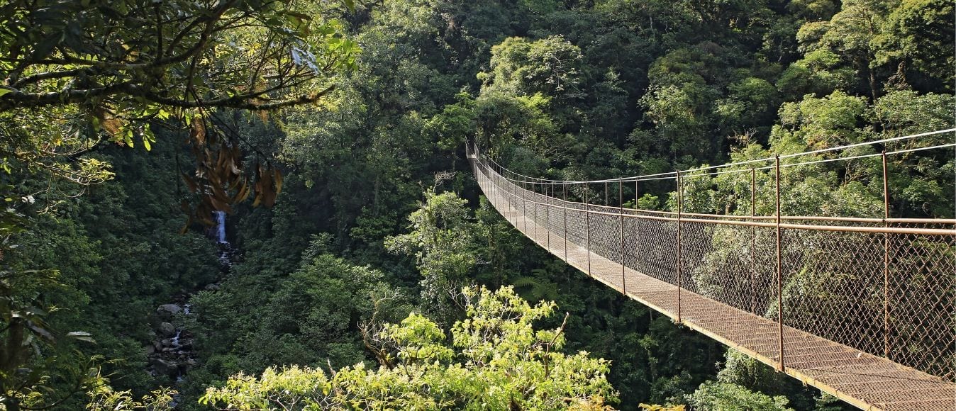 Advanced Hiking Trails to Take in Boquete, Panama