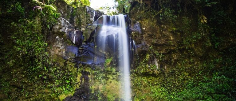 Top Panama Waterfalls You Have to Visit