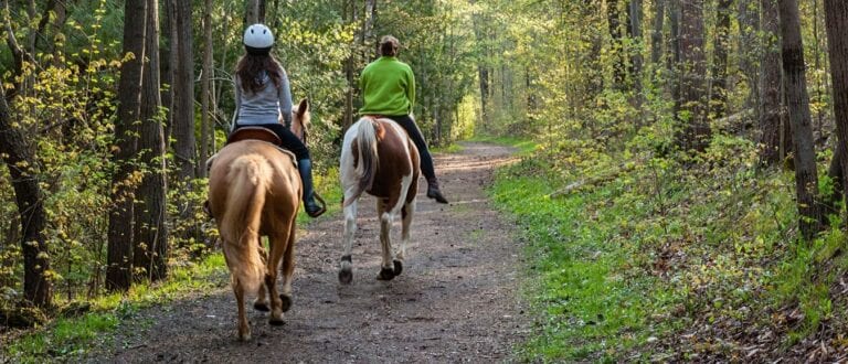 Why Everyone Should Go Horseback Riding Once