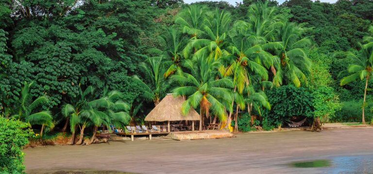 panama jungle resort