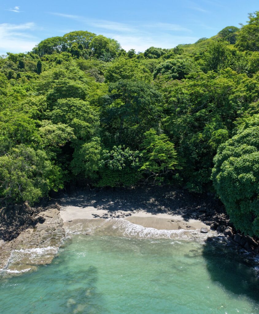 coves panama
