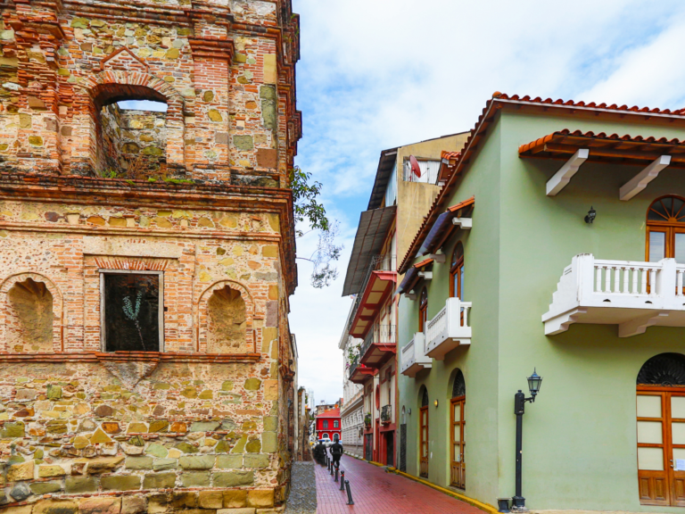 casco viejo selva terra