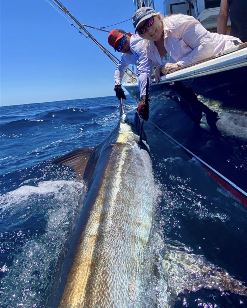 black marlin panama