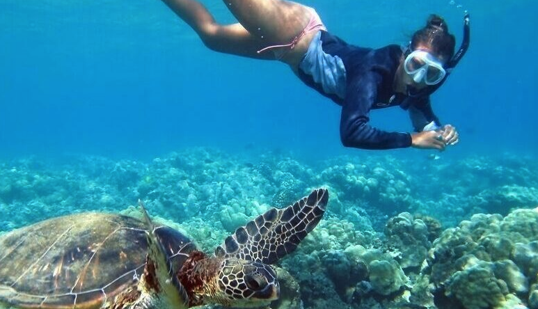 coiba snorkel