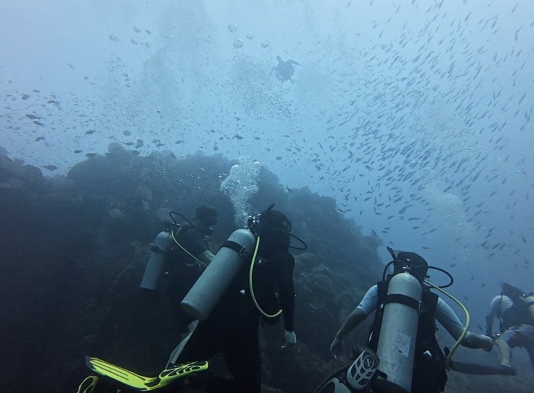 scuba panama