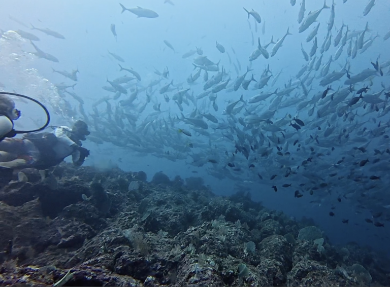 scuba in panama