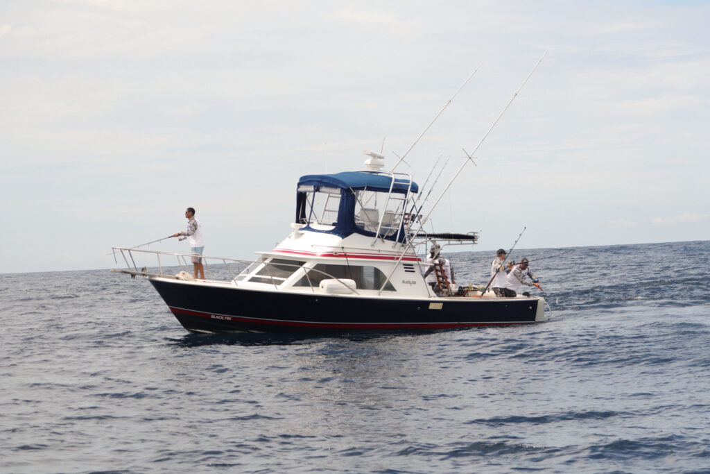 fishing panama gulf chiriqui