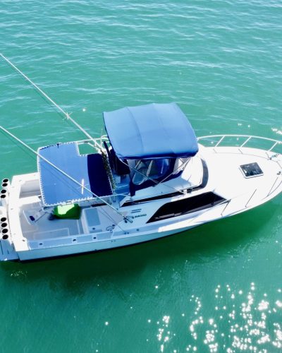 sportfishing selva terra