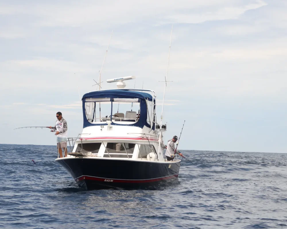 Fishing in panama