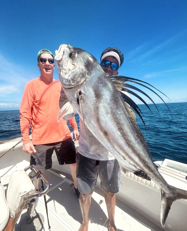 roosterfish panama