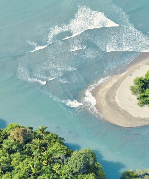 surfing panama selva terra private island