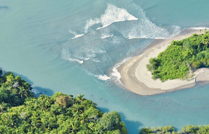 surfing panama selva terra private island