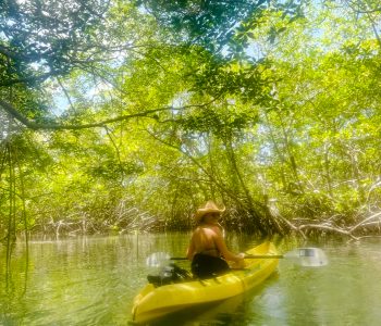 kayaking panama