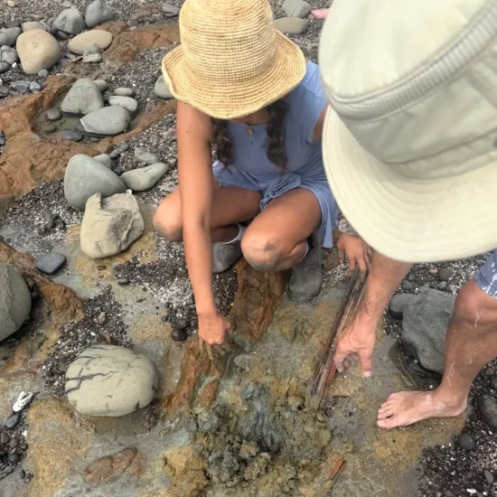 wild clay foraging