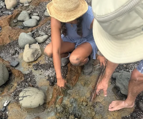 wild clay foraging