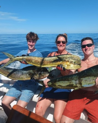 mahi mahi fish