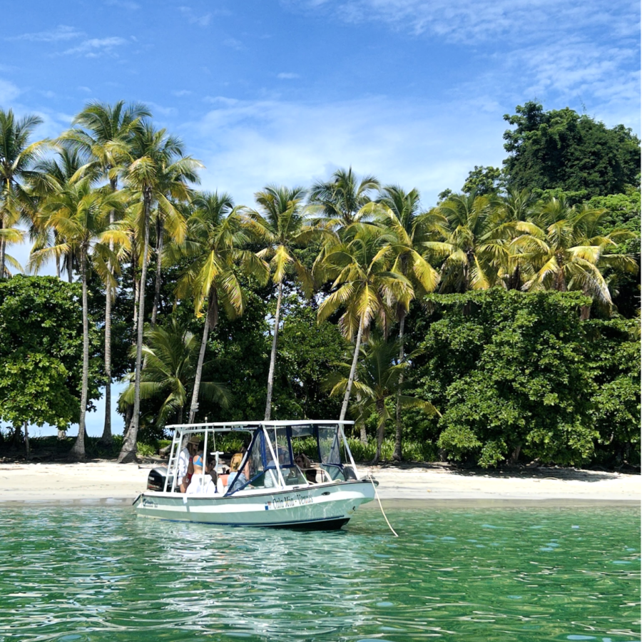 boat boat