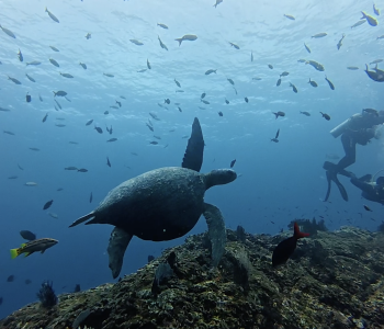 diving exploration