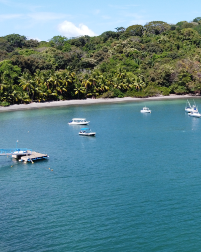 selva terra private bay