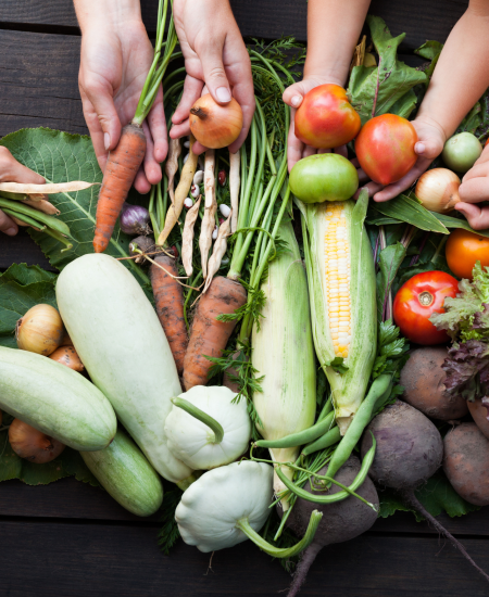 farm and ocean to table