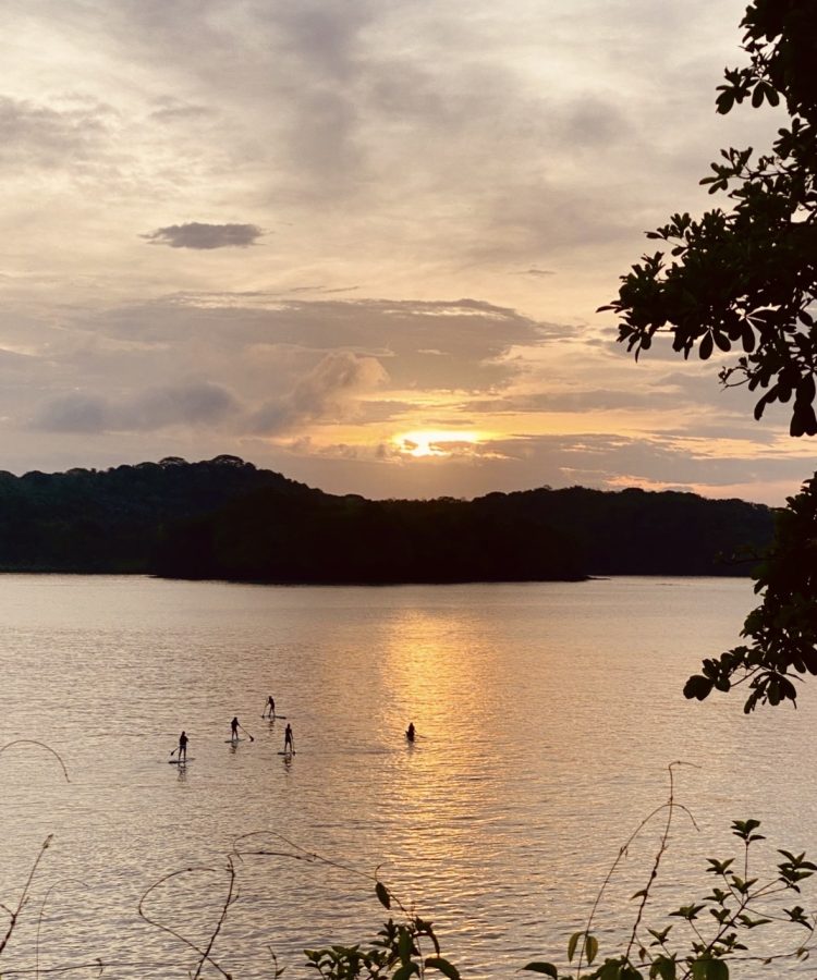 sunset sup